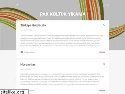 Sites similar to pakkoltukyikama.blogspot.com