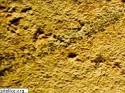 Sites similar to palaeo-geo-ev.de