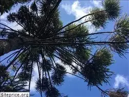 Sites similar to palana.or.jp