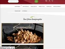 Sites similar to palanci.com.tr