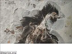 Sites similar to paleontologista.com