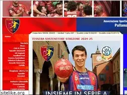 Sites similar to pallamanosecchia.it