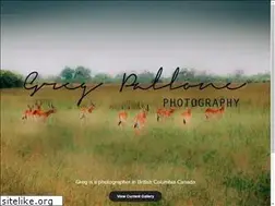 Sites similar to pallone.com