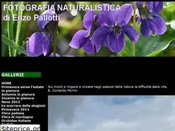 Sites similar to pallotti.it