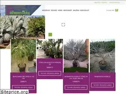 Sites similar to palmavilag.hu