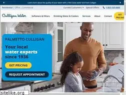 Sites similar to palmettoculligan.com