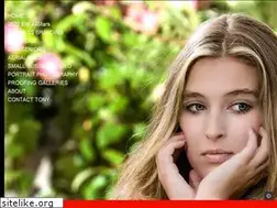 Sites similar to palmierisphotography.com