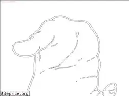 Sites similar to palmsout.com