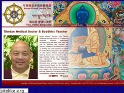 Sites similar to paltulrinpoche.com