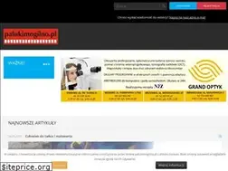 Sites similar to palukimogilno.pl
