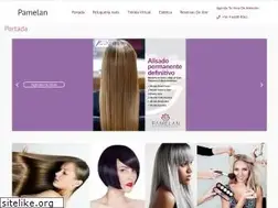 Sites similar to pamelan.cl