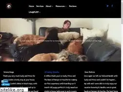 Sites similar to pamperurpoochie.com