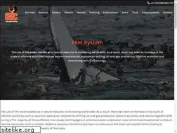 Sites similar to pamsystems.co.uk