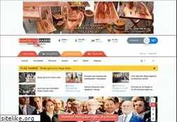 Sites similar to pamukovahaber.com