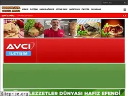 Sites similar to pamukovasosyalmedya.com