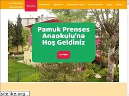 Sites similar to pamukprenses.com.tr