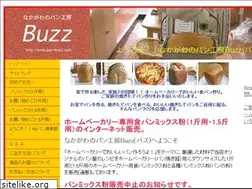 Sites similar to pan-buzz.com