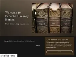 Sites similar to panachehackneys.com