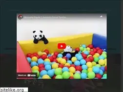 Sites similar to pandacocukevi.com