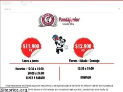 Sites similar to pandajunior.cl