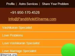 Sites similar to panditankitsharma.com