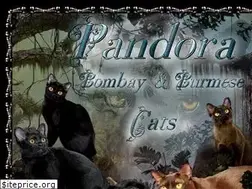 Sites similar to pandoracats.com