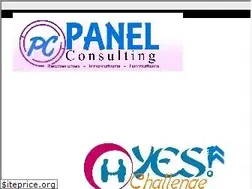 Sites similar to panelconsultings.com