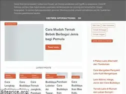 Sites similar to panenlele.eu.org