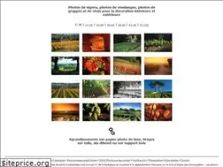 Sites similar to panoweb.com
