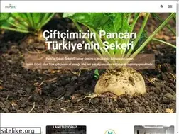 Sites similar to pansek.org.tr