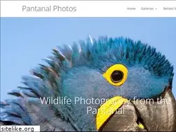 Sites similar to pantanalphotos.com