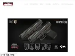 Sites similar to panteraguns.com