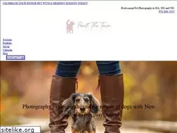 Sites similar to pantthetown.com
