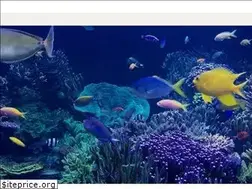 Sites similar to papacks.com