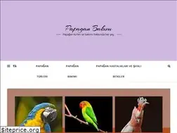 Sites similar to papaganbakimi.com