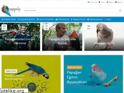 Sites similar to papaganlar.org