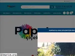 Sites similar to papatyacicek.net