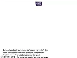 Sites similar to papegaaienjournaal.nl