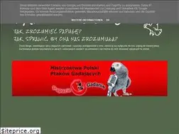 Sites similar to papuziblog.blogspot.com