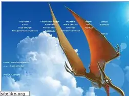 Sites similar to paradactyl.ru