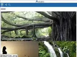 Sites similar to paradise.jp