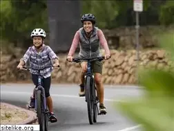 Sites similar to paradisebicycles.net