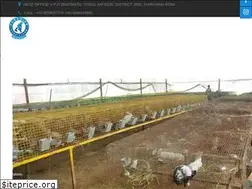 Sites similar to paradiserabbitfarm.com