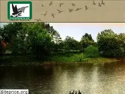 Sites similar to paraduxmedia.com