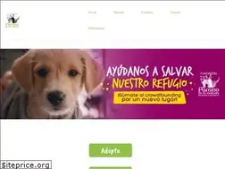 Sites similar to paraisodelamascota.org