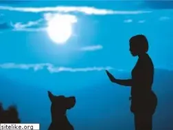 Sites similar to paramountdogtraining.com