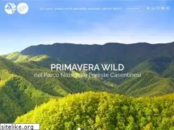 Sites similar to parcoforestecasentinesi.it