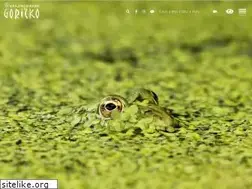 Sites similar to park-goricko.org