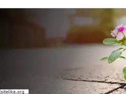 Sites similar to parkavenuefloratique.com