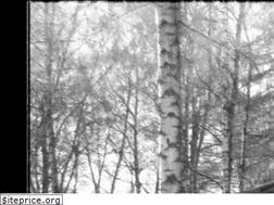 Sites similar to parketlesna.cz
